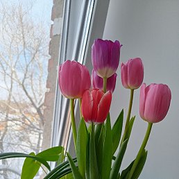 ���� �������, ����, 34 ���� - ��������� 16 ���� 2026