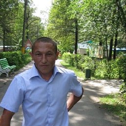 ���������, 44 ����, ���������