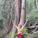 ���� ������, ����, 71 ��� - ��������� 16 ������� 2025 � ������ ���� ����������