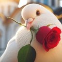 ���� ��������, ���� - ��������� 27 ���� 2025 � ������ ���� ����������