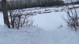 Beautiful walk in the snow