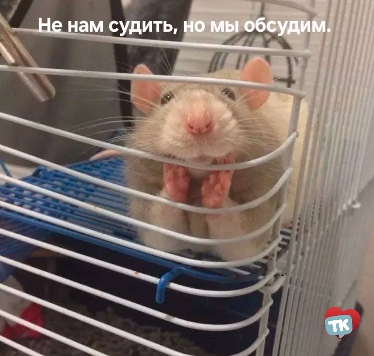  ,      .  ,   ...