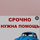 ���� ����, ������, 46 ��� - ��������� 6 ������ 2024