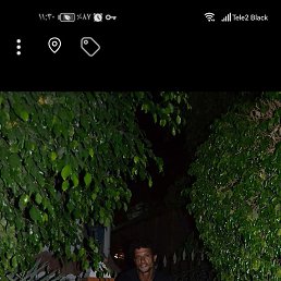 ����, ������ ��������, 41 ���