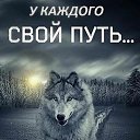  Volk,  -  12  2025    