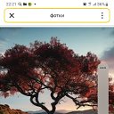 ���� �����, ����������, 32 ���� - ��������� 22 ��� 2026 � ������ ���� ����������
