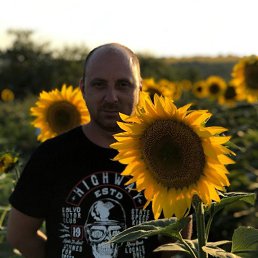 ���� ������, ������, 43 ���� - ��������� 9 ������ 2025