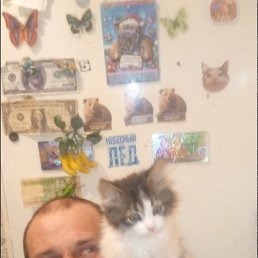 ���� �������, 41 ���, ���������