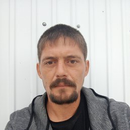 , 33, 
