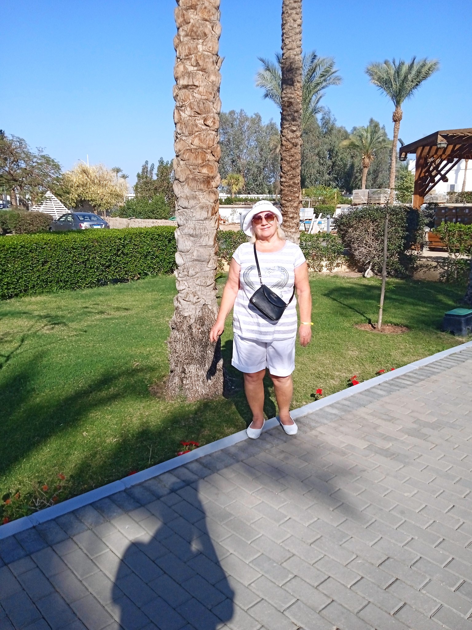   - 7  2025  11:20 - 2