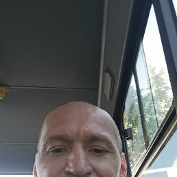 �����, 46 ���, ��������