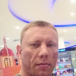 ���������, 41 ���, ������������