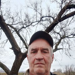 ����, 53 ����, ����