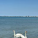 ���� ����, ���������, 51 ��� - ��������� 19 ��� 2025 � ������ ������ ��������