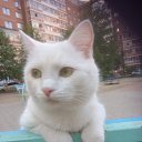 ���� �������, ���������� - ��������� 22 ������ 2025 � ������ ������ ��������