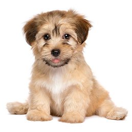 Фото Алексей, Москва, 18 лет Алексей, Москва, 18 лет