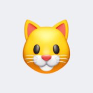 ��������, 25 ���, ���������