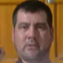 ����, ������, 40 ���