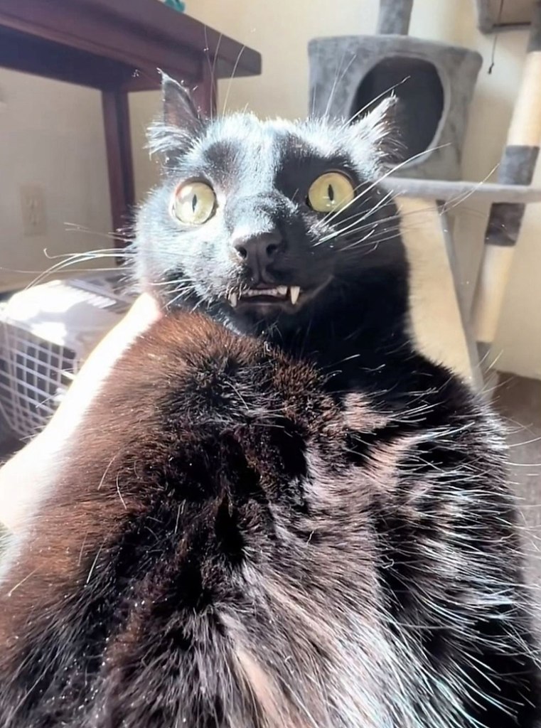:   .: - 7