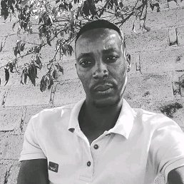 ���� Tebo, ������������, 36 ��� - ��������� 19 ��� 2026