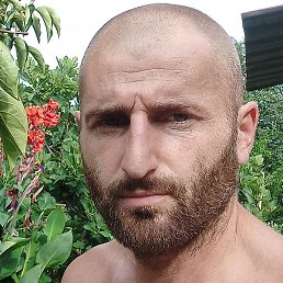 �������, ����, 36 ���