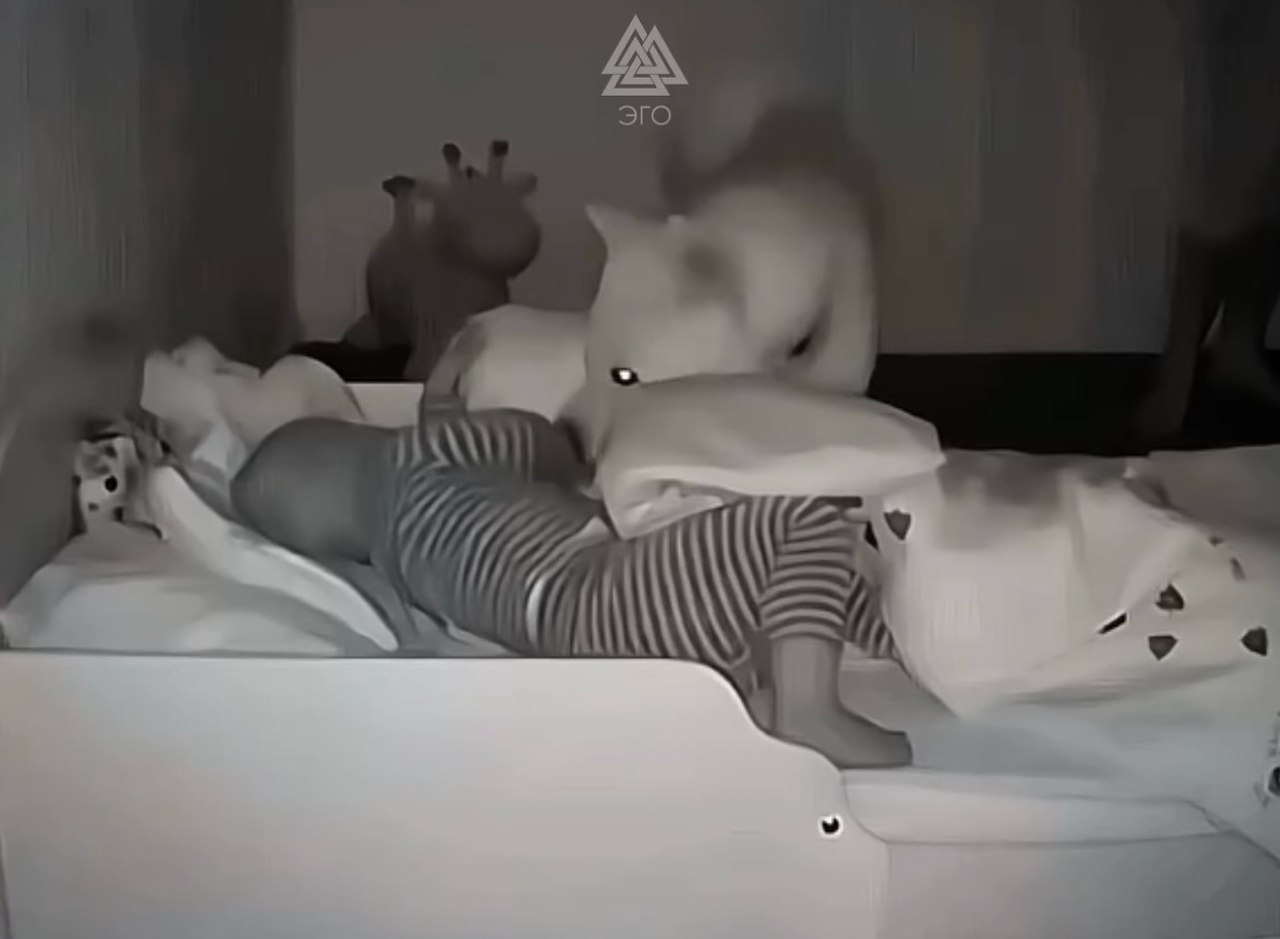    ,         - 2