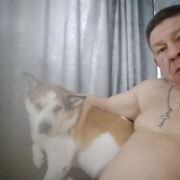 ���� �������, ������, 49 ��� - ��������� 1 ������� 2026