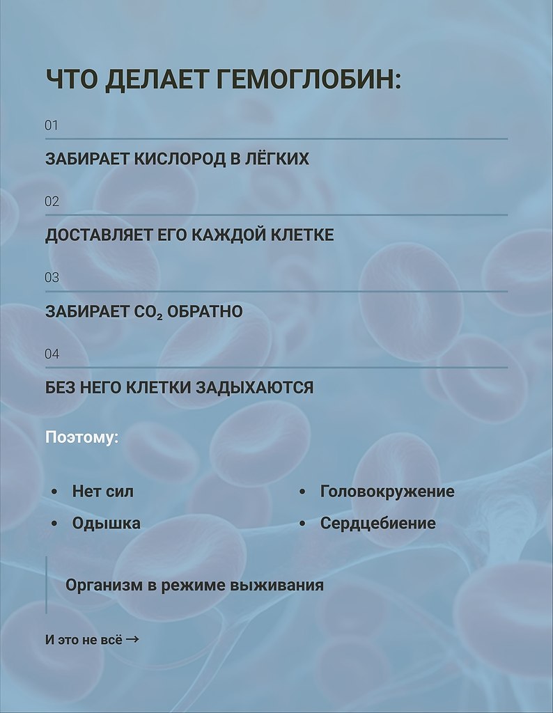 Что мешает вам разобраться в своих анализах? Вы получаете результаты. Не понимаете половину слов. ... - 5