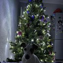 ���� �������, ��������� - ��������� 31 ������� 2025 � ������ ���� ����������