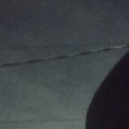 ����, 51 ���, ������