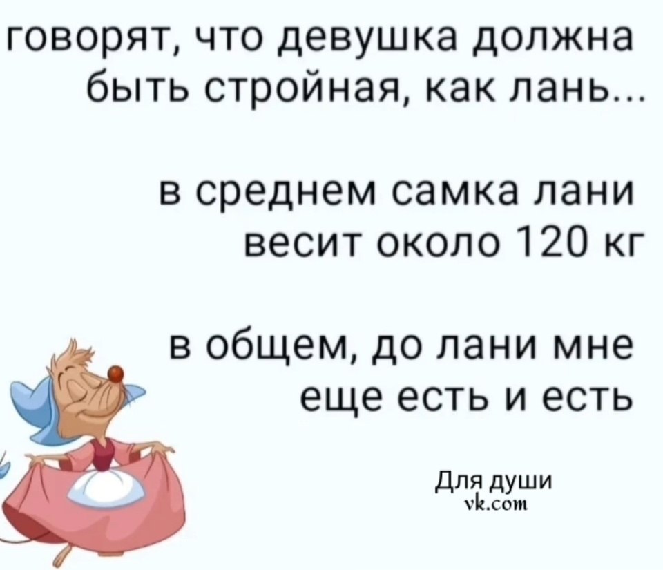  - 20  2025  20:31