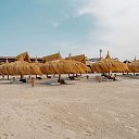 ���� Miko, ���������, 42 ���� - ��������� 22 ������ 2023 � ������ ������ ��������