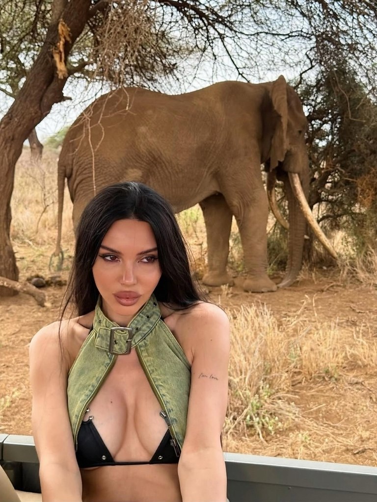 37-������ ���� ���������� ����� ������ ��������� ������� ����������� ���������� � �������� ...