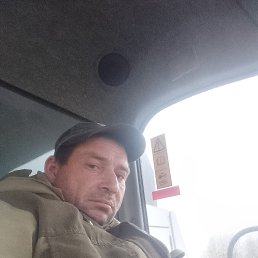 ���, 41 ���, �����