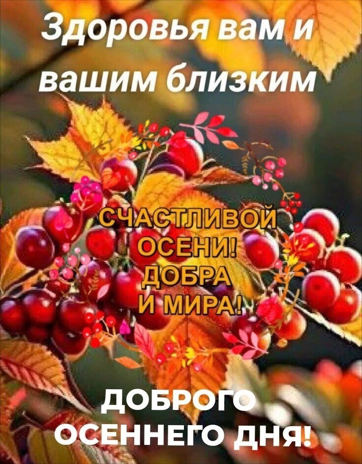  - 23  2024  08:11