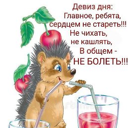 ����, ���������, 62 ����