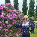 ���� �������. �� ��������., ������ - ��������� 6 �������� 2025 � ������ ���� ����������