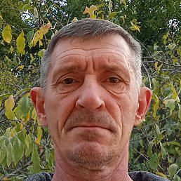 ������, ���������, 51 ���