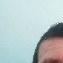 ����, �����������, 46 ���