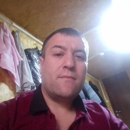 , 41, 