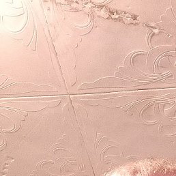 �����, ������, 44 ����