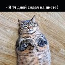 ���� ��������, ����������, 29 ��� - ��������� 13 ����� 2025 � ������ ���� ����������