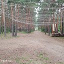 ���� ����, ������ - ��������� 19 �������� 2025 � ������ ���� ����������