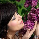 ���� Deva, ������ - ��������� 17 �������� 2026 � ������ ���� ����������