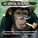 ���� ����, �����-��������� - ��������� 2 ������ 2026 � ������ ������ ��������