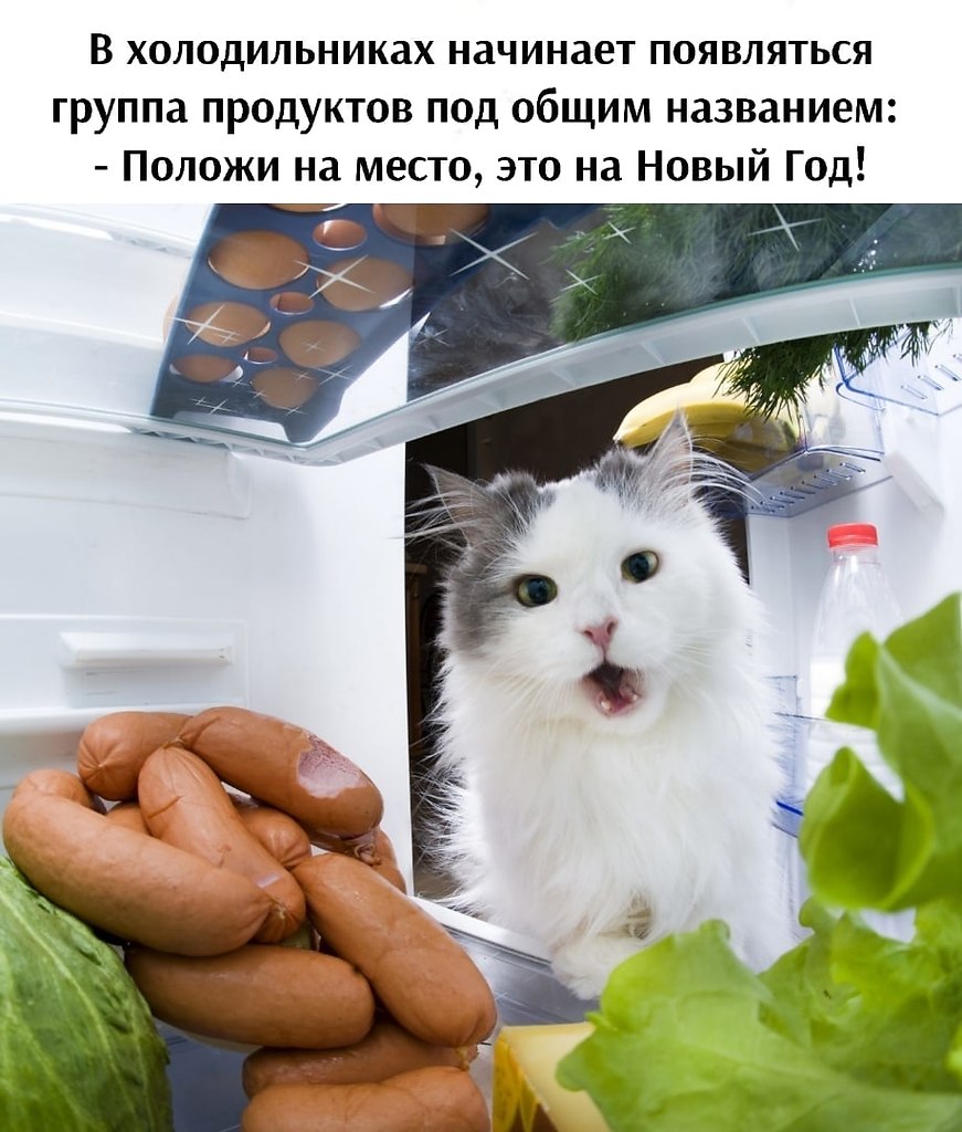 ��� ���� � ����� �� �� - 29 ������� 2025 � 14:03