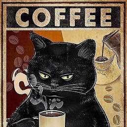 �������, ������-��-����, 19 ���