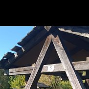 , 65 , 