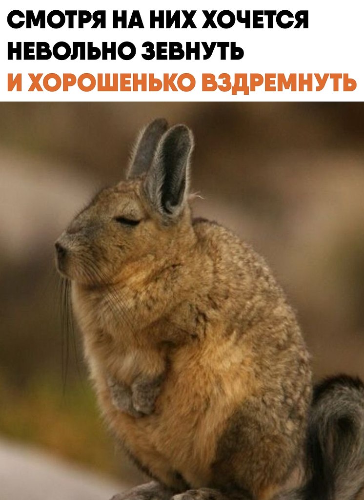 ������� �������� ���������� � ������� � ����� ������������. ���� ����� ������� ��������� �� ������ ...