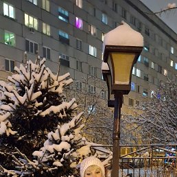 ������, ����������, 66 ���